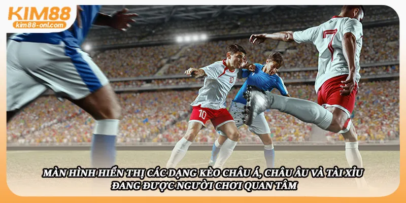 Màn hình hiển thị các dạng kèo châu Á, châu Âu và tài xỉu đang được người chơi quan tâm