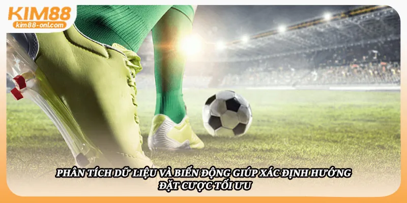 Phân tích dữ liệu và biến động