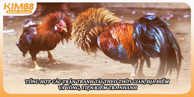 Tổng hợp các trận tranh tài theo thời gian, địa điểm và vòng, tiện kiểm tra nhanh